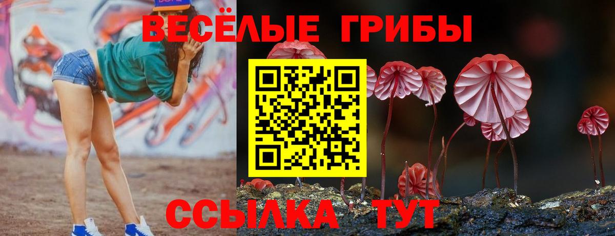 Псилоцибиновые грибы Psilocybe Лянтор